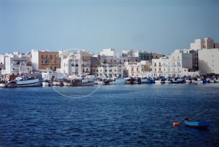 dettaglio immagine 137