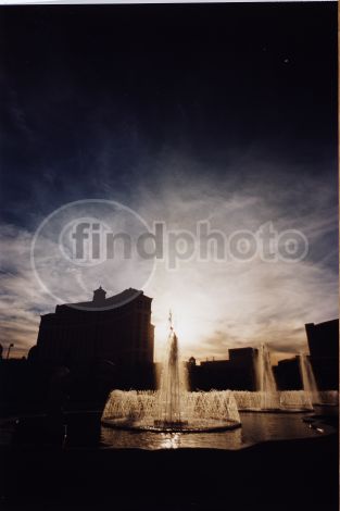 dettaglio immagine 146