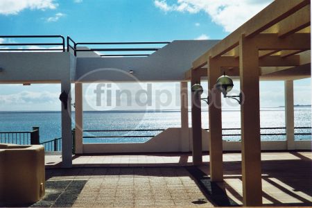 dettaglio immagine 160