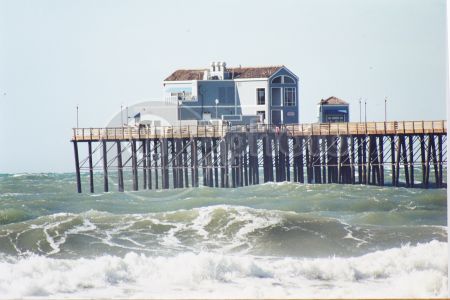 dettaglio immagine 157