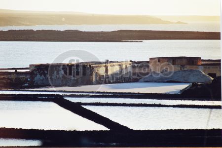 dettaglio immagine 161