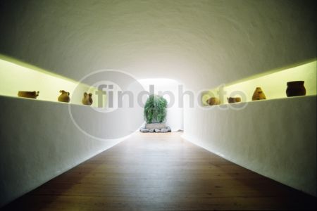 dettaglio immagine 171