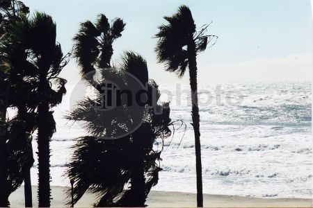 dettaglio immagine 154