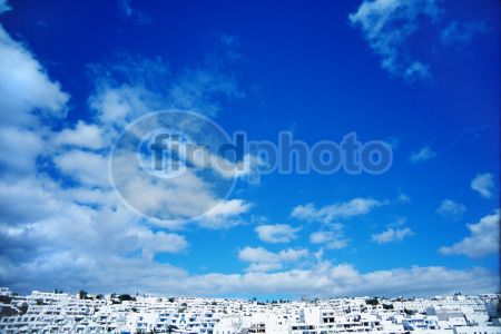 dettaglio immagine 167