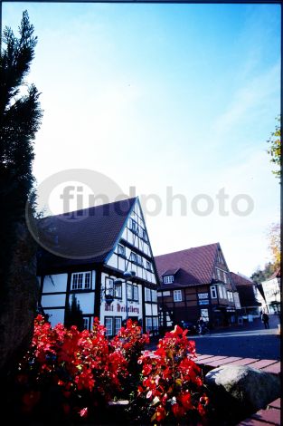 dettaglio immagine 204