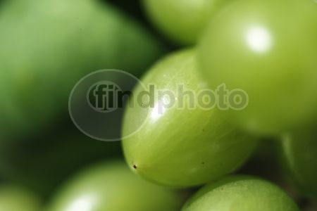 dettaglio immagine CRDS01783