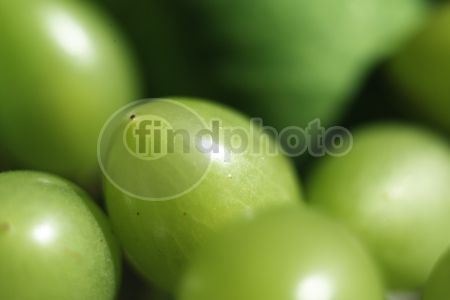 dettaglio immagine CRDS01782