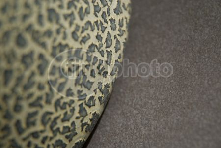 dettaglio immagine CRDR01532