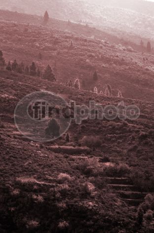 dettaglio immagine LOCR00172