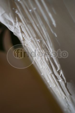 dettaglio immagine EDIR00027