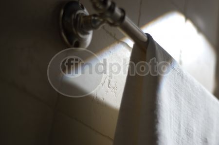 dettaglio immagine FIOR00134