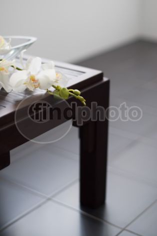 dettaglio immagine FIOR00246