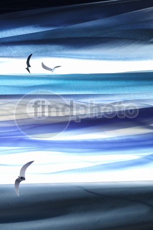 dettaglio immagine EURS00060