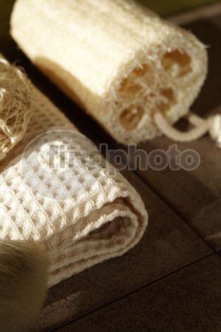 dettaglio immagine FIOS00258