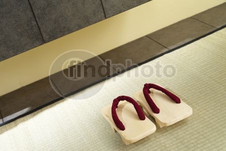 dettaglio immagine FIOS00224