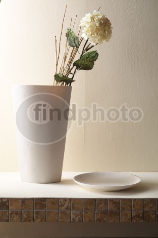 dettaglio immagine FIOS00622