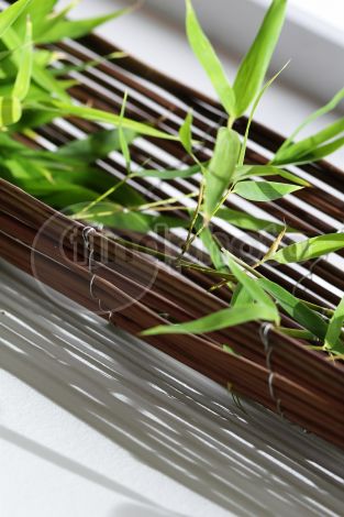 dettaglio immagine FIOS00420