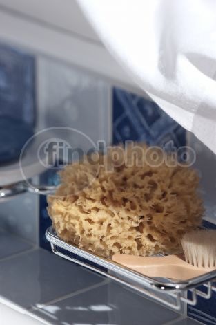 dettaglio immagine GOLS00088