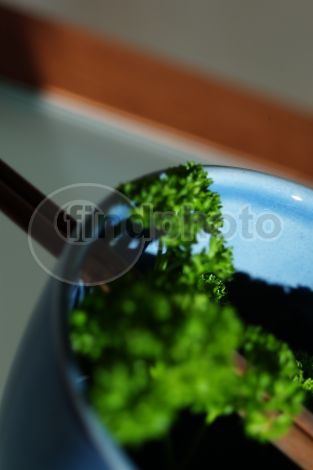 dettaglio immagine FIOS00535