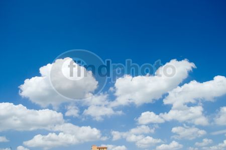 dettaglio immagine LOCR00419