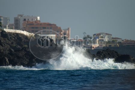 dettaglio immagine LOCR00135