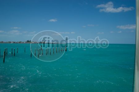 dettaglio immagine LOCR00496