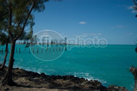 dettaglio immagine LOCR00494