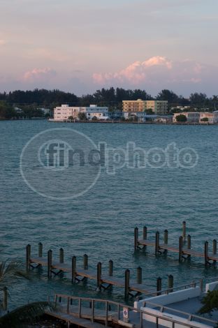 dettaglio immagine LOCR00470