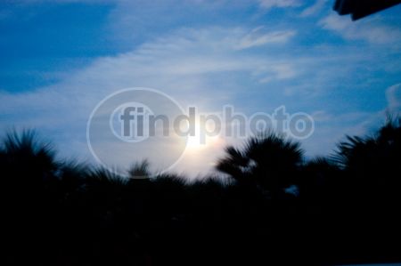 dettaglio immagine LOCR00673