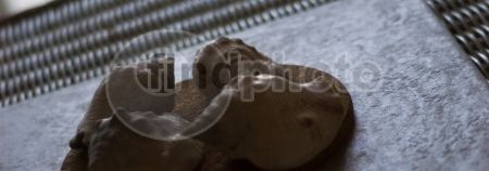 dettaglio immagine LOCR00616