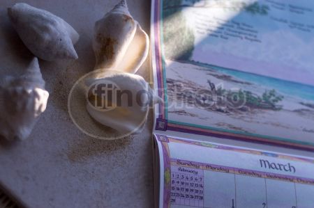 dettaglio immagine LOCR00610