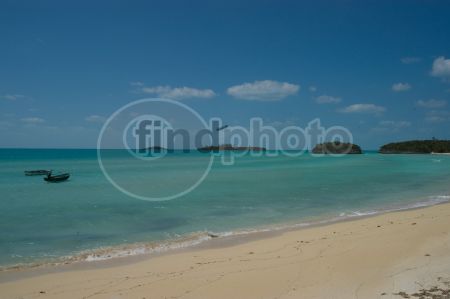 dettaglio immagine LOCR00503