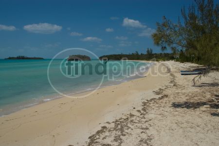 dettaglio immagine LOCR00501