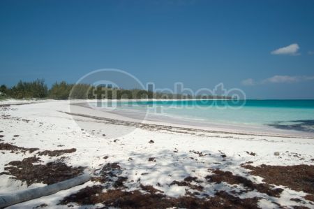 dettaglio immagine LOCR00728