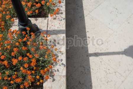 dettaglio immagine LOCR01706