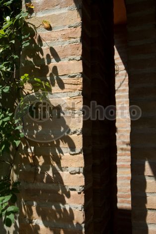 dettaglio immagine LOCR01650