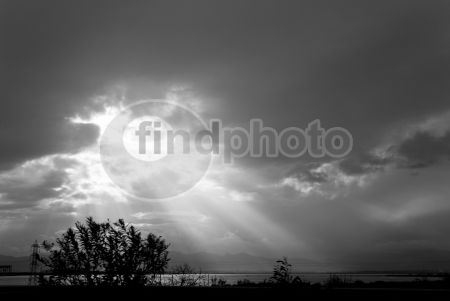 dettaglio immagine LOCR01608