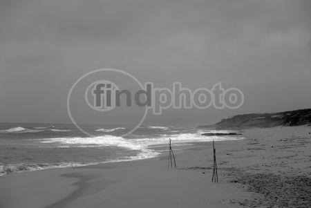 dettaglio immagine LOCR01578