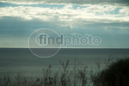 dettaglio immagine LOCR01399