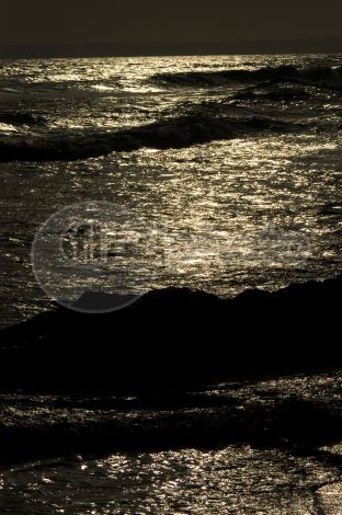 dettaglio immagine LOCR01257