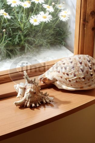 dettaglio immagine PROS00283