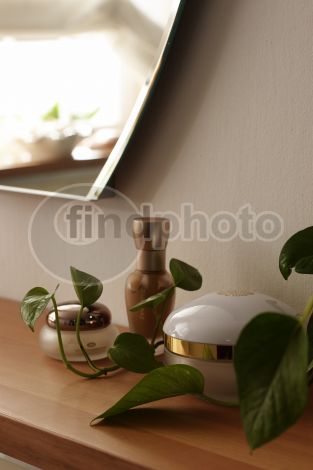 dettaglio immagine PROS00066