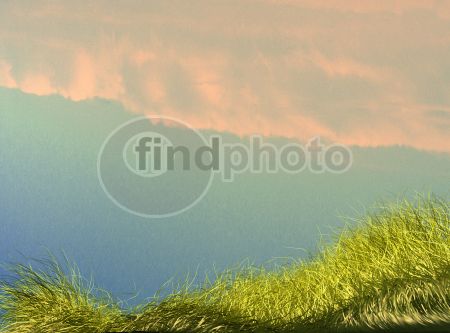 dettaglio immagine cerba03