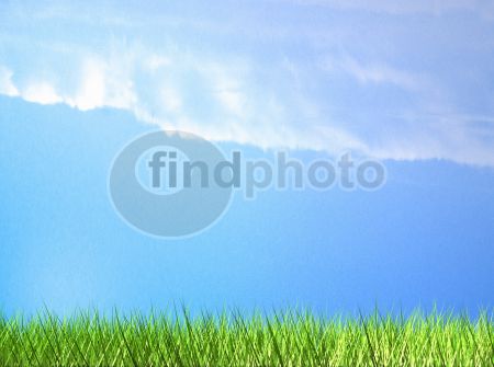 dettaglio immagine cerba01