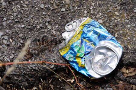 dettaglio immagine DSC_2246