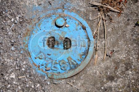 dettaglio immagine DSC_2213