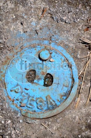 dettaglio immagine DSC_2214