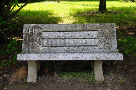 dettaglio immagine DSC_2212