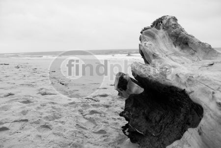 dettaglio immagine LOCR01568