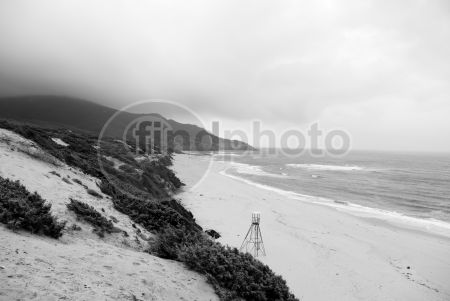 dettaglio immagine LOCR01556